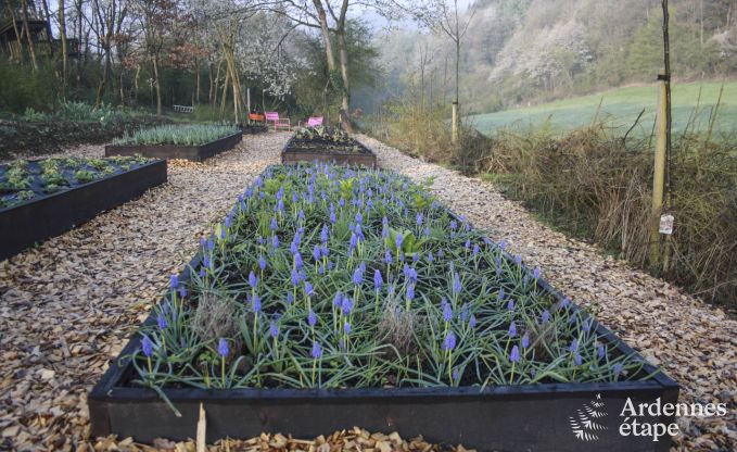 Maison contemporaine  Somme - Leuze pour 8 personnes en Ardenne