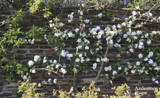 Maison contemporaine  Somme - Leuze pour 8 personnes en Ardenne