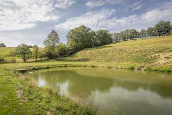 Gîte dans les collines pour 4 pers. à Somme-Leuze (Ardenne)
