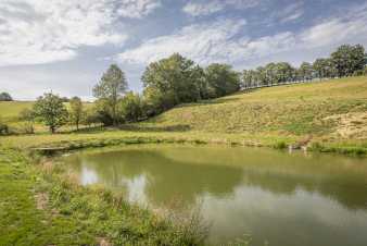 Gte dans les collines pour 4 pers.  Somme-Leuze (Ardenne)