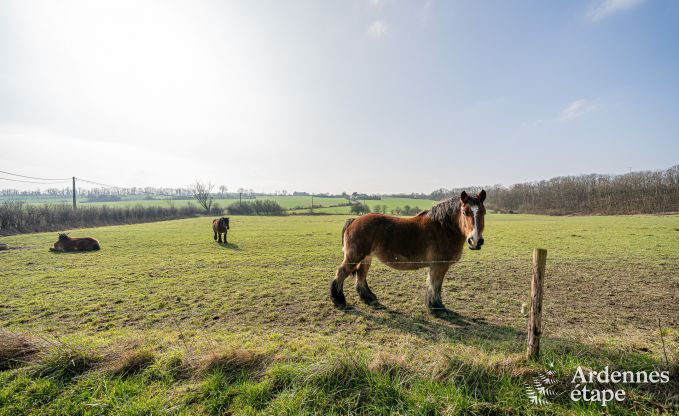 Maison de vacances spacieuse et confortable � Somme-Leuze, pr�s de Durbuy