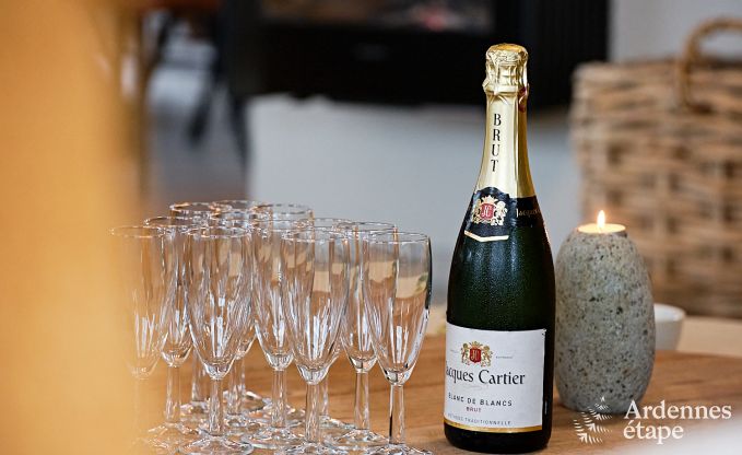 Villa ultramoderne  Somme-Leuze pour 12 personnes avec piscine intrieure, sauna et jardin priv