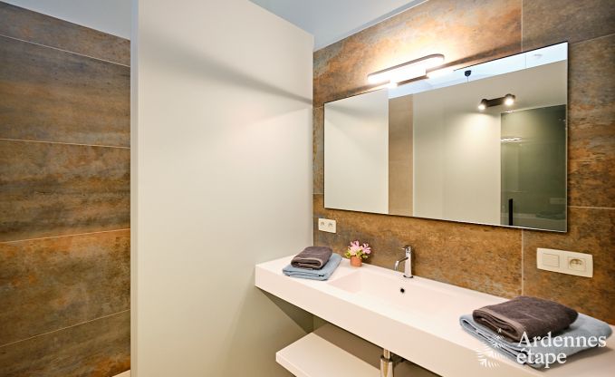 Villa ultramoderne  Somme-Leuze pour 12 personnes avec piscine intrieure, sauna et jardin priv