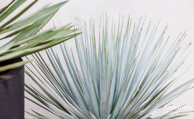 Gite de charme  Somme-Leuze pour 5 personnes en Ardenne