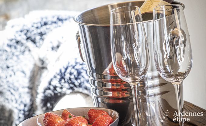 Maison de vacances  Somme-Leuze pour 9 personnes en Ardenne