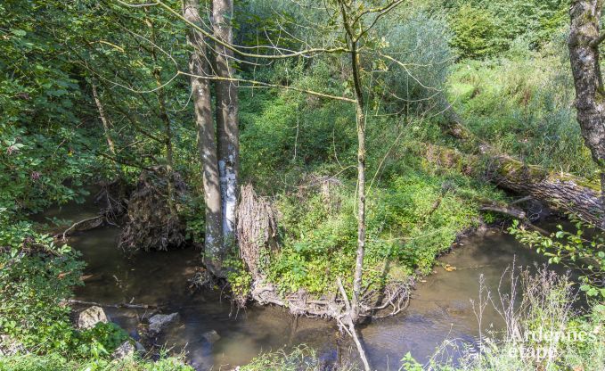 Maison de vacances � Somme-Leuze pour 12 personnes en Ardenne