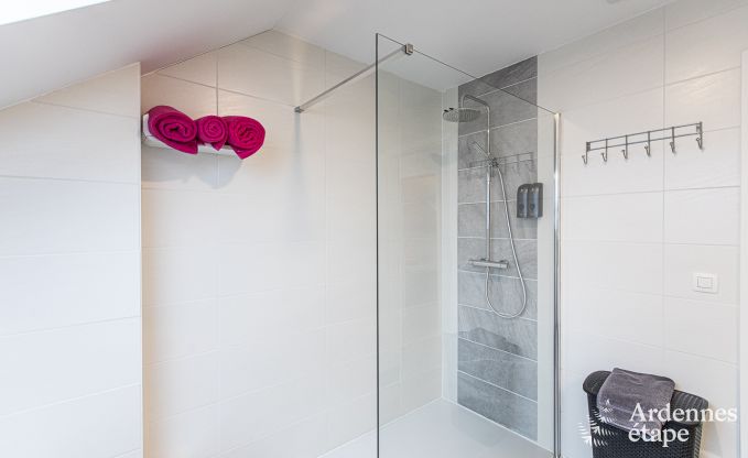 Maison de vacances  Somme-Leuze pour 12 personnes en Ardenne