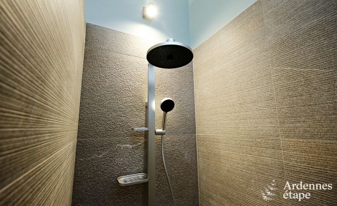 Villa ultramoderne  Somme-Leuze pour 12 personnes avec piscine intrieure, sauna et jardin priv