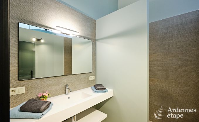 Villa ultramoderne  Somme-Leuze pour 12 personnes avec piscine intrieure, sauna et jardin priv