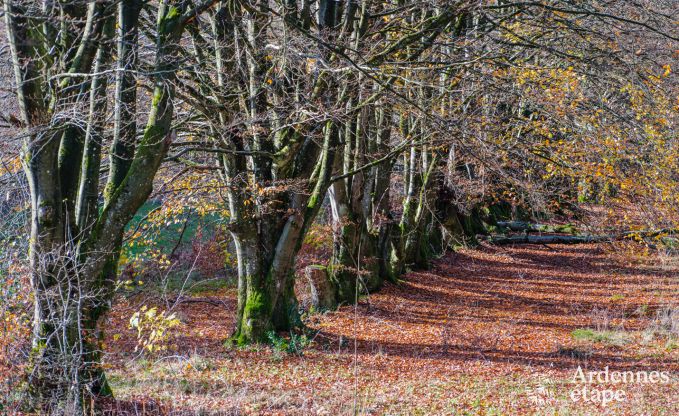 Logement � Sourbrodt pour 2/4 personnes en Ardenne