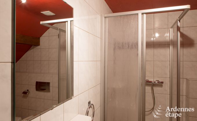 Ludog�te pour 12 personnes � Sourbrodt en Ardenne