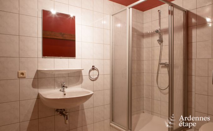 Ludog�te pour 12 personnes � Sourbrodt en Ardenne