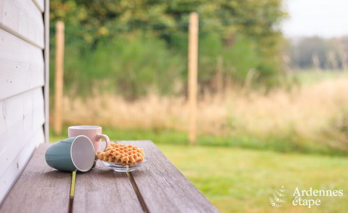 Maison de vacances � Sourbrodt pour 10/11 personnes en Ardenne