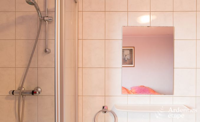 Ludog�te pour 12 personnes � Sourbrodt en Ardenne