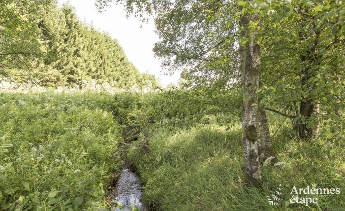 Chalet  Sourbrodt pour 12 personnes dans les Hautes Fagnes