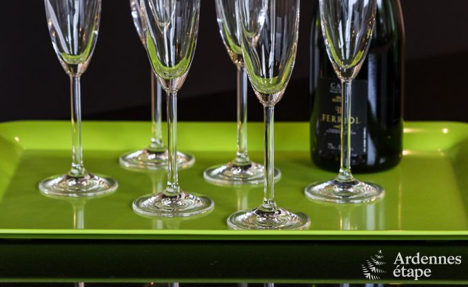 Maison de vacances � Sourbrodt pour 10/11 personnes en Ardenne