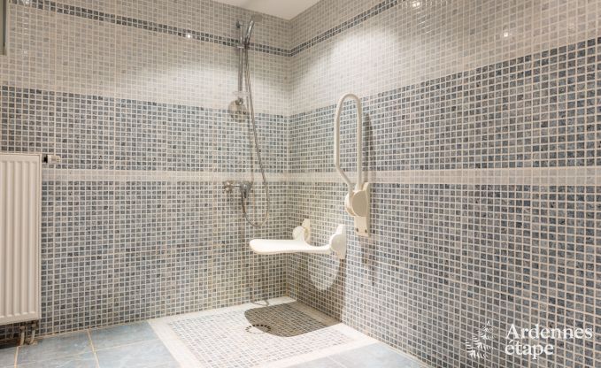 Villa de Luxe � Spa (Jalhay) pour 22 personnes en Ardenne