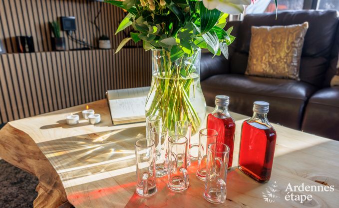 Villa de Luxe � Spa (Jalhay) pour 9 personnes en Ardenne