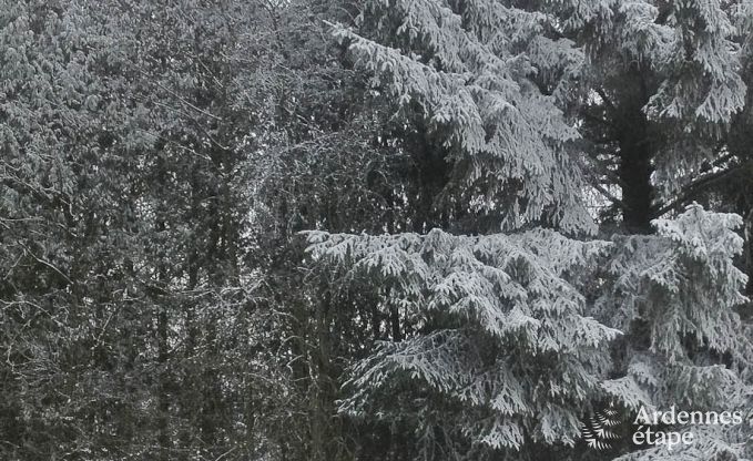 Chalet � Spa (Nivez�) pour 9 personnes en Ardenne