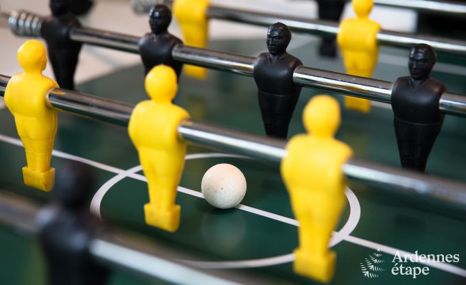 Ch�teau � Spa pour 20 personnes en Ardenne