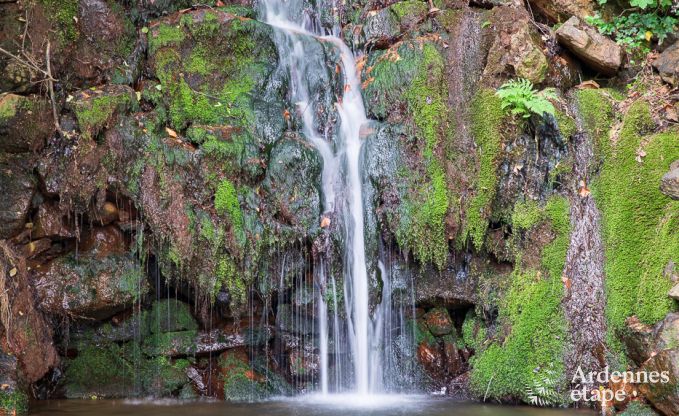 Ch�teau � Spa pour 20 personnes en Ardenne