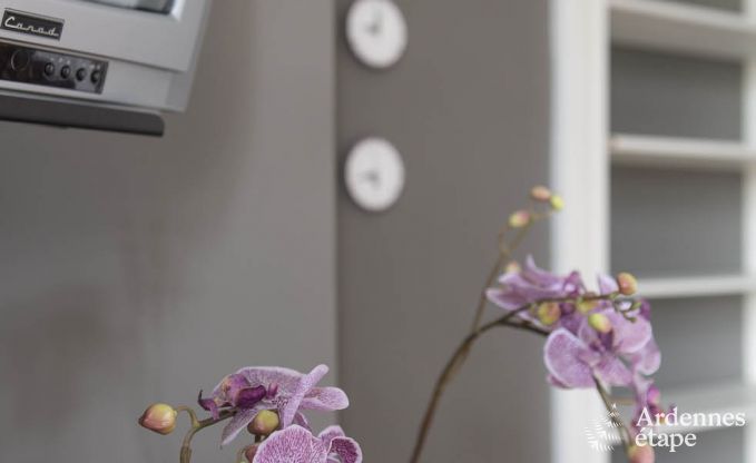 Ch�teau � Spa pour 10 personnes en Ardenne