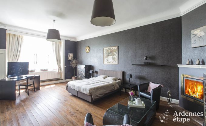 Ch�teau � Spa pour 10 personnes en Ardenne