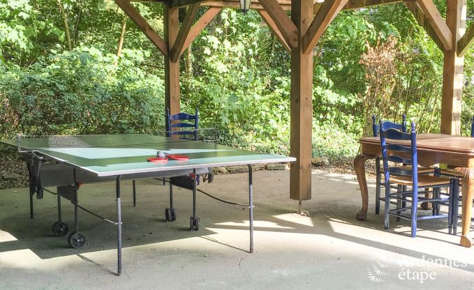 Ch�teau � Spa pour 15 personnes en Ardenne