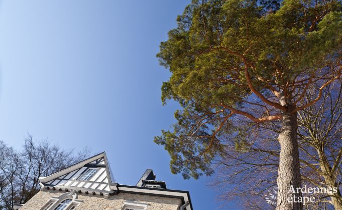 Chteau  Spa pour 9 personnes en Ardenne