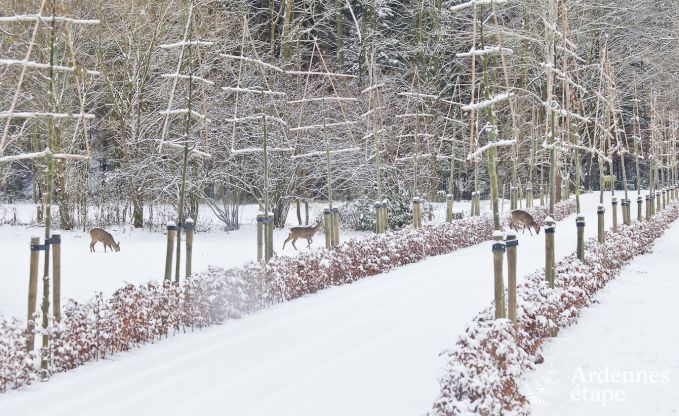 Maison de vacances � Spa pour 28 personnes en Ardenne