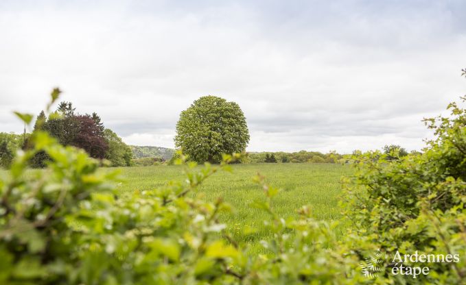 Maison de vacances � Spa pour 9 personnes en Ardenne