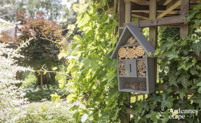 Maison de vacances � Spa pour 12 personnes en Ardenne