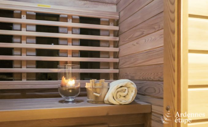 Villa de Luxe � Spa pour 9 personnes en Ardenne