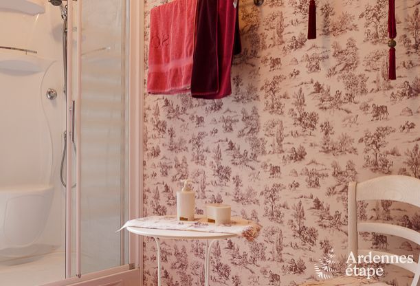 Villa de Luxe � Spa pour 9 personnes en Ardenne