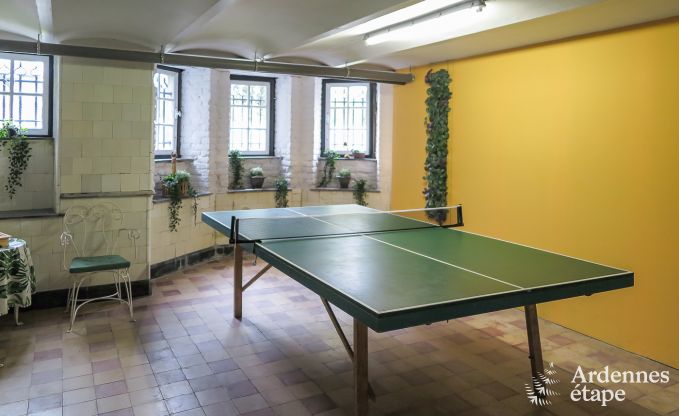 Villa de Luxe � Spa pour 9 personnes en Ardenne