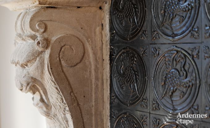 Villa de Luxe � Spa pour 9 personnes en Ardenne