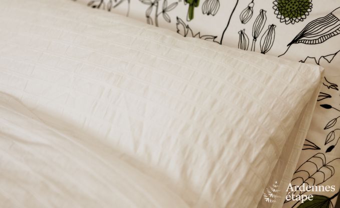 Villa de Luxe � Spa pour 9 personnes en Ardenne