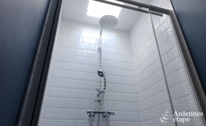 Villa de Luxe � Spa pour 9 personnes en Ardenne