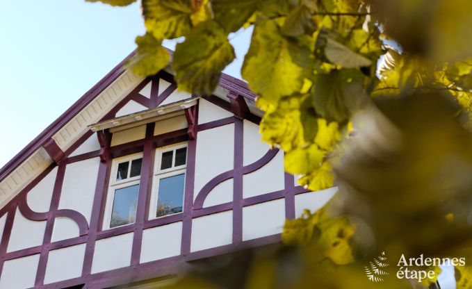 Villa de Luxe � Spa pour 9 personnes en Ardenne