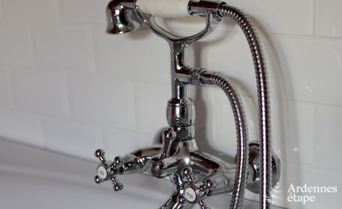 Villa de Luxe � Spa pour 9 personnes en Ardenne