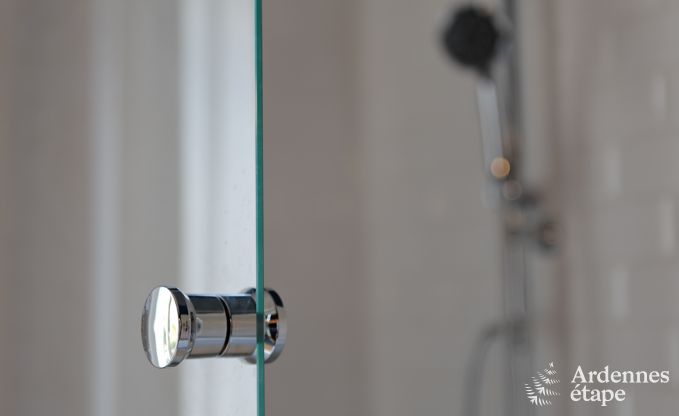 Villa de Luxe � Spa pour 9 personnes en Ardenne