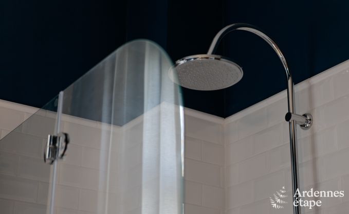 Villa de Luxe � Spa pour 9 personnes en Ardenne