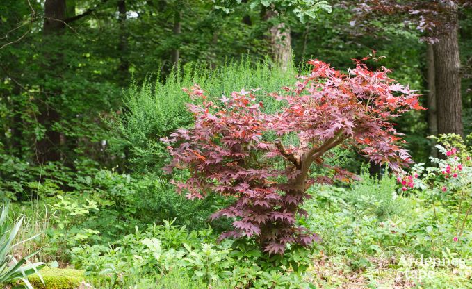 Villa confortable et luxueuse � Spa, Hautes Fagnes