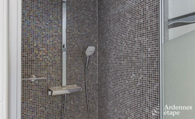 Villa de Luxe � Spa pour 13/14 personnes en Ardenne