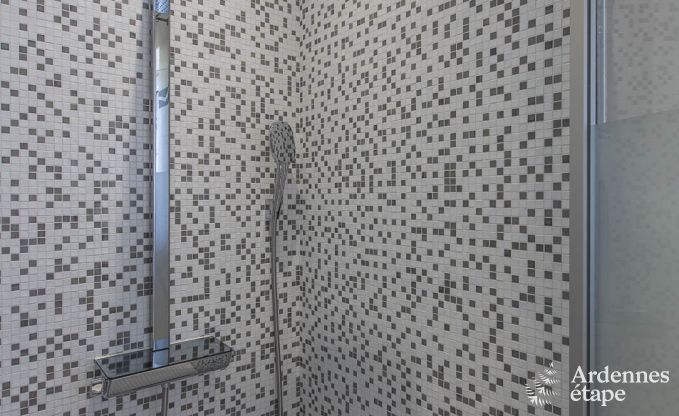 Villa de Luxe � Spa pour 13/14 personnes en Ardenne