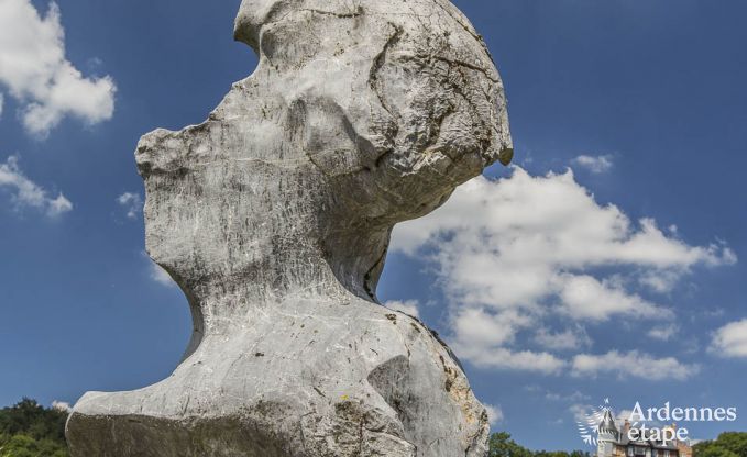 Villa de Luxe � Spa pour 13/14 personnes en Ardenne