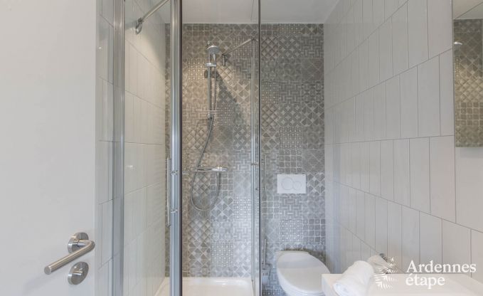 Villa de Luxe  Spa pour 22 personnes en Ardenne