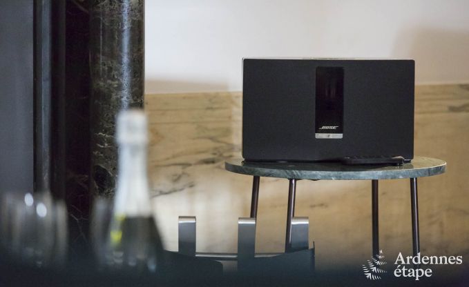 Villa de Luxe � Spa pour 22 personnes en Ardenne