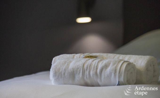 Villa de Luxe � Spa pour 22 personnes en Ardenne