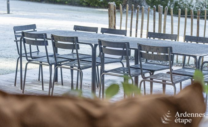 Villa de Luxe � Spa pour 18 personnes en Ardenne